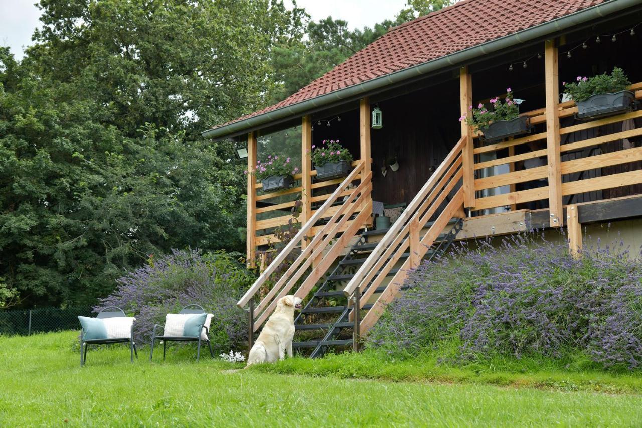 Le Chalet D'Eliot Chevigny  Exterior photo